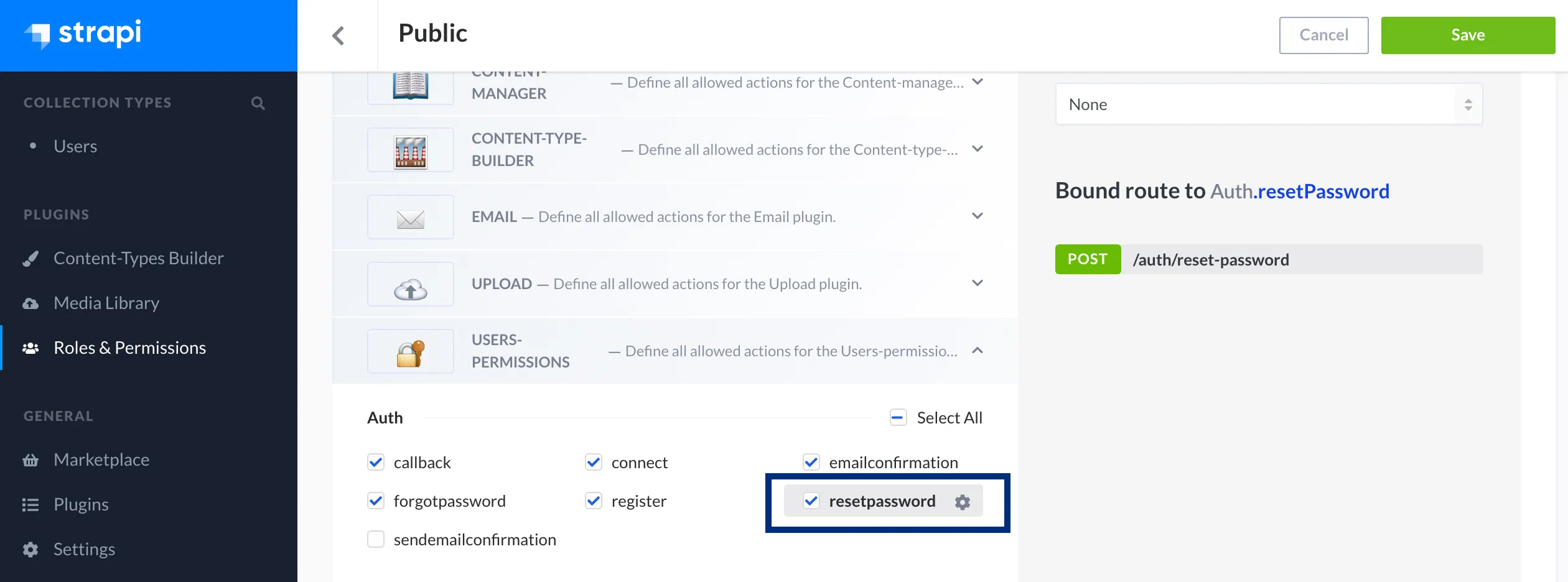 Strapi Reset Password